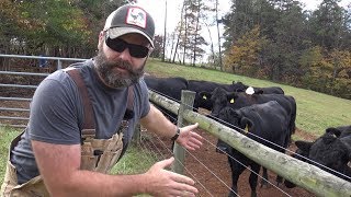 CATTLE FENCING IDEAS FOR YOUR FARM/RANCH