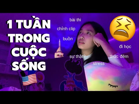 MỘT TUẦN TRONG CUỘC SỐNG MÌNH?! (sự thật?)