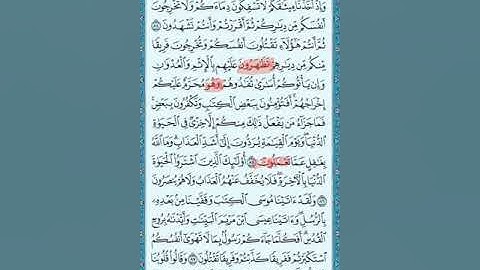 الإمام قالون / فرش الحروف / سوره البقرة _ الحزب الثاني