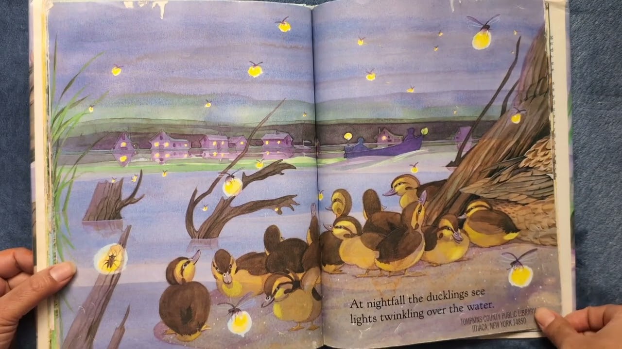 All Night Near The Water ❤️🦆🐥 by Jim Arnosky🖋️ Read Aloud Book