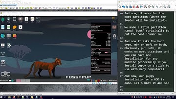 Puppy Linux Installation - An adventurer