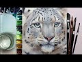 How to sketch  paint a realistic snow leopard in watercolor