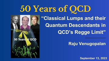 Raju Venugopalan "Classical Lumps and their Quantum Descendants in QCD