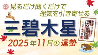 2025年11月 三碧木星の運勢】非常に強運！ 積極的に動き想像以上の結果