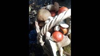 Zamanın Mantar Güzelliğiyle Suda Akışı..