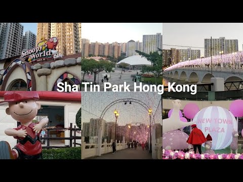 Video: Mitä nähdä Shatin Hongkongissa