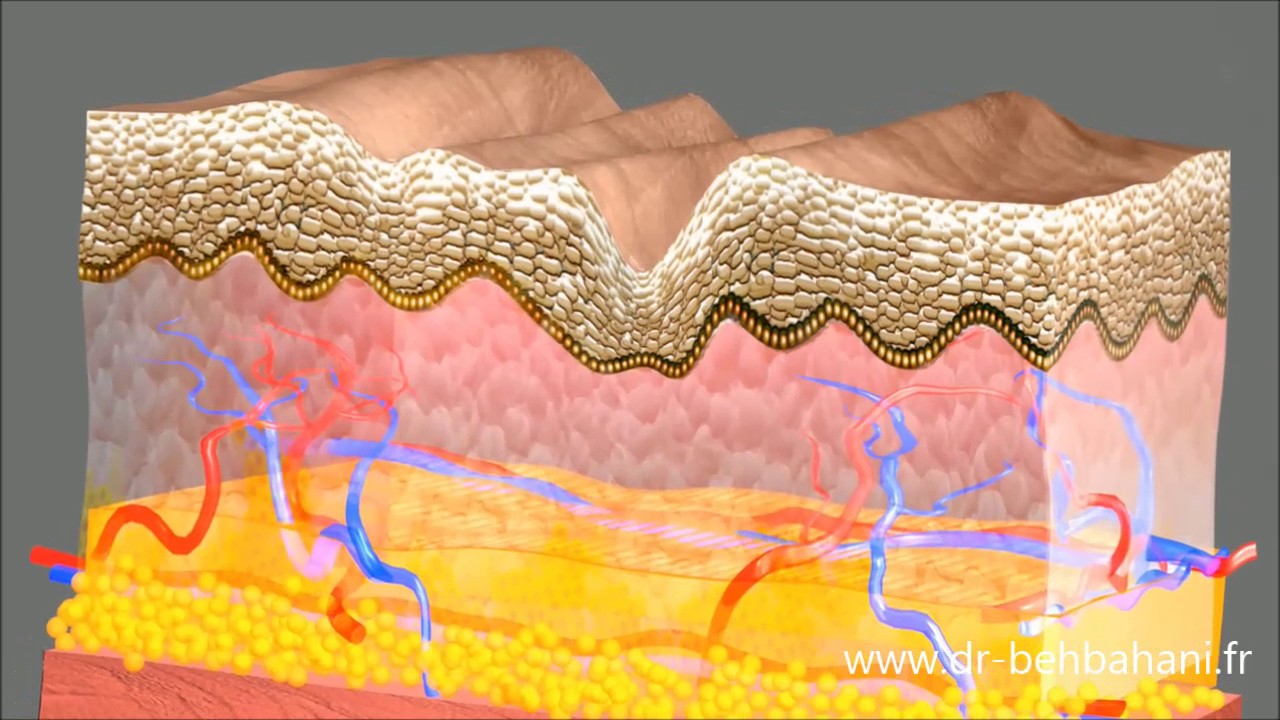 Dr Eric Behbahani - Médecine esthétique : le vieillissement du visage