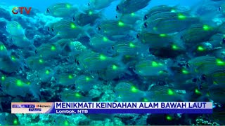 Indahnya Pesona Bawah Laut Gili Trawangan, Lombok, NTB - BIP 26/07