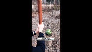 Glued pickaxe vs watermelon!