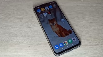 Mobile Data On but Internet Not Working | How to Fix mobile data not working Issue