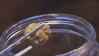 ‘A tough road’: Several factors drag down Oregon cannabis sales
