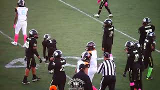 Field Warriorz | Southside Elite Spartans Vs Maple Saints | Muny League🏈(12) CHAMPIONSHIP GAME