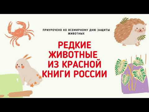 Редкие животные из красной книги России