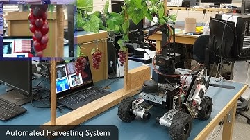 Autonomous Grape Harvesting Robot Development - BCIT Capstone Research Project