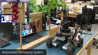 Autonomous Grape Harvesting Robot Development - BCIT Capstone Research Project