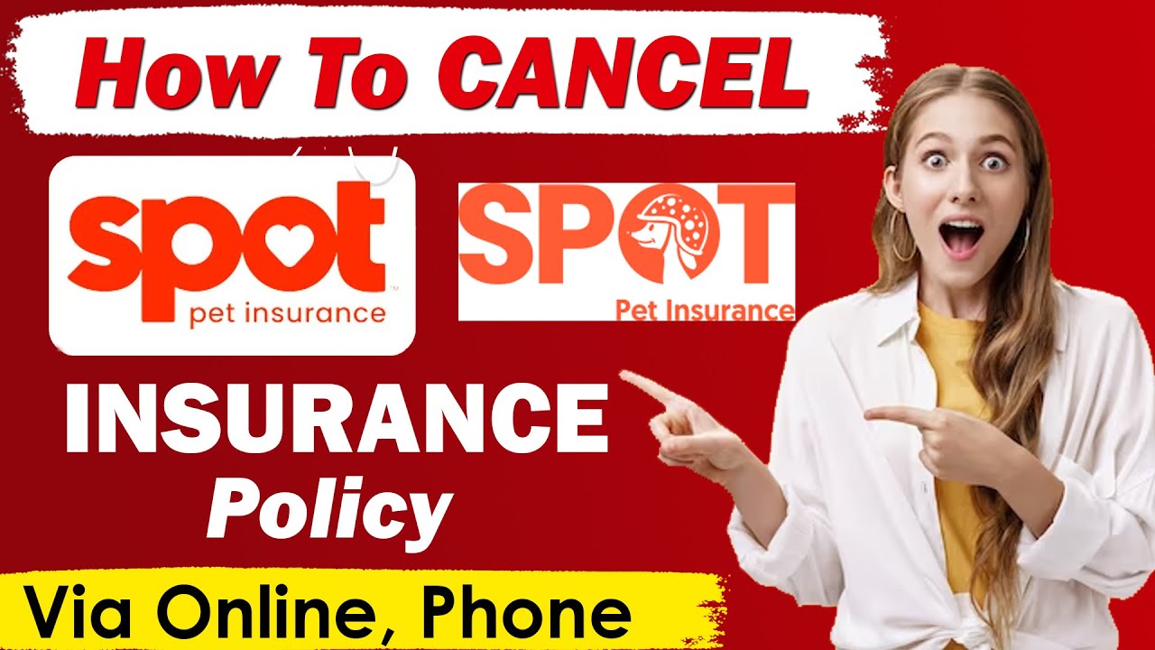 how-to-cancel-spot-pet-insurance-policy-online-youtube
