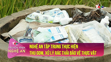 Nghệ An tập trung thực hiện thu gom, xử lý rác thải bảo vệ thực vật