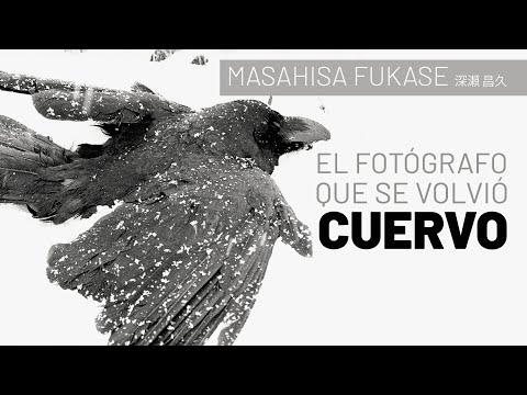 Video: Maestros de la fotografía. El mundo a través de Hasselblad