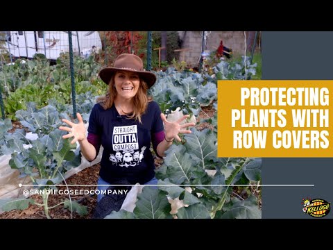 वीडियो: सर्वश्रेष्ठ रो कवर: गार्डन रो कवर के साथ पौधों की रक्षा