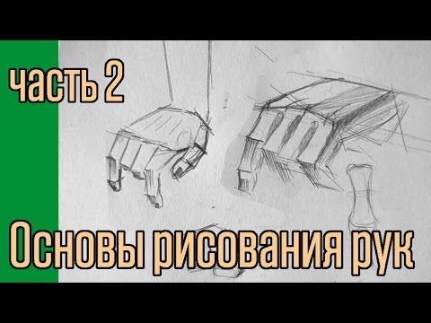 Основы рисования рук. часть 2.