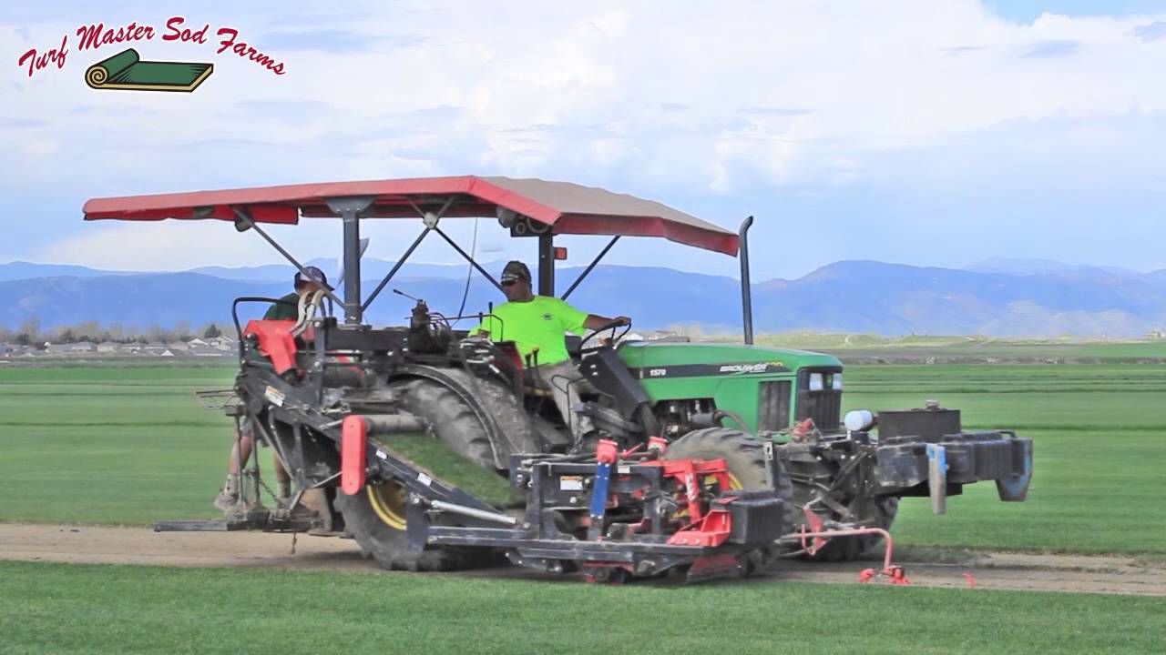 Turfmaster Sod Farm a Colorado Sod Farm and Wyoming Sod Farm