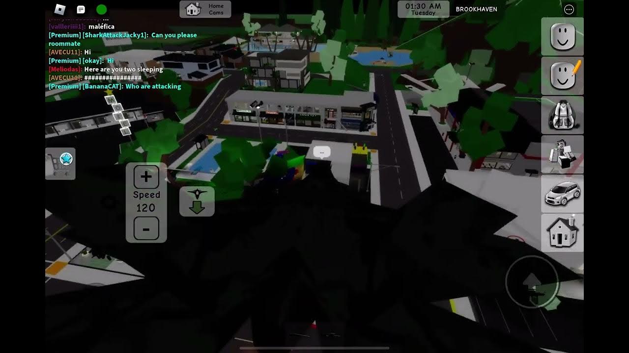 PLANE CRASH - Roblox Brookhaven - YouTube