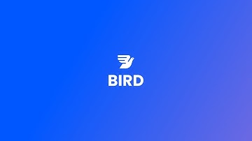 Introducing Bird — Marketing, Sales, and Payments CRM for modern businesses