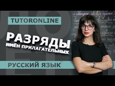 Разряды имён прилагательных | Русский язык | TutorOnline