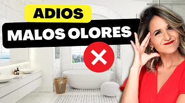 ¿Cómo hacer que la casa huela rico todo el día?