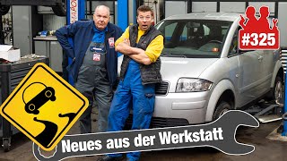 Brembo schickt Beläge zurück ... Aber wie!! 🤦‍♂️ | Lebensgefährlicher Querlenkerbruch am Audi A2!!
