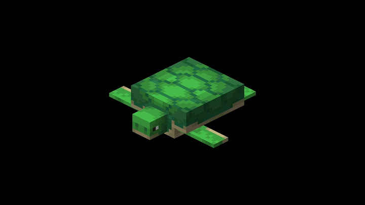 اغرب 3 معلومات عن السلاحف في ماين كرافت 😵‍💫🔥 #minecraft #ماين_كرافت #تعلم #معلومات #minecraftmemes