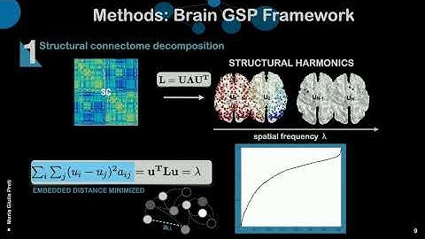 OHBM 2025 | Educational Course | Brain Modes, Components, and Gradients | Part 2