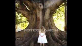 Yade As Din Kerem Vekcke As