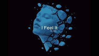 Vibfy - I Feel It Official Visualizer