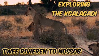 KGALAGADI  Twee Rivieren to Nossob. Why do people come here? Part 1/2