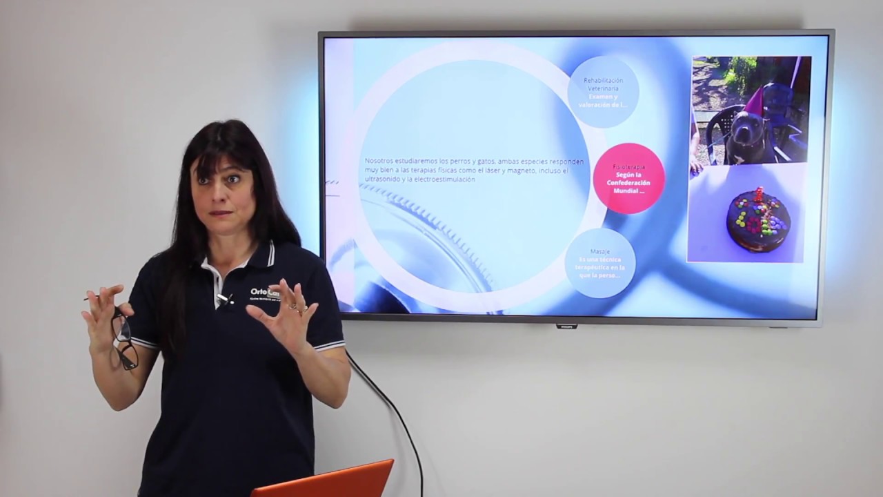 Introducción a la rehabilitación veterinaria