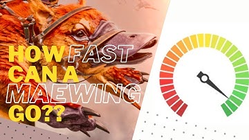 How fast can a Maewing ACTUALLY go?? - Testing out a Maewing