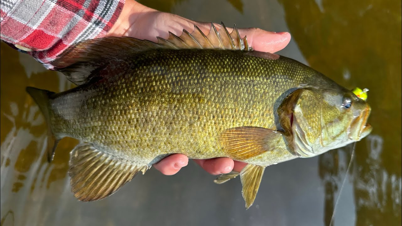 Michigan Smallmouth Bass Fishing | Summer 2023