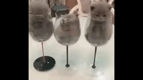 Spark LLM Training EMR Implementation