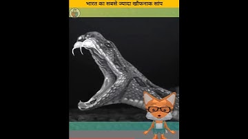 Russell Viper Facts #snakefacts #facts #russelviper