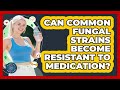 Can Common Fungal Strains Become Resistant To Medication? - All About the Immune System