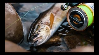 Trout Fishing in the Carpathians (Day 1 - Acquaintance)