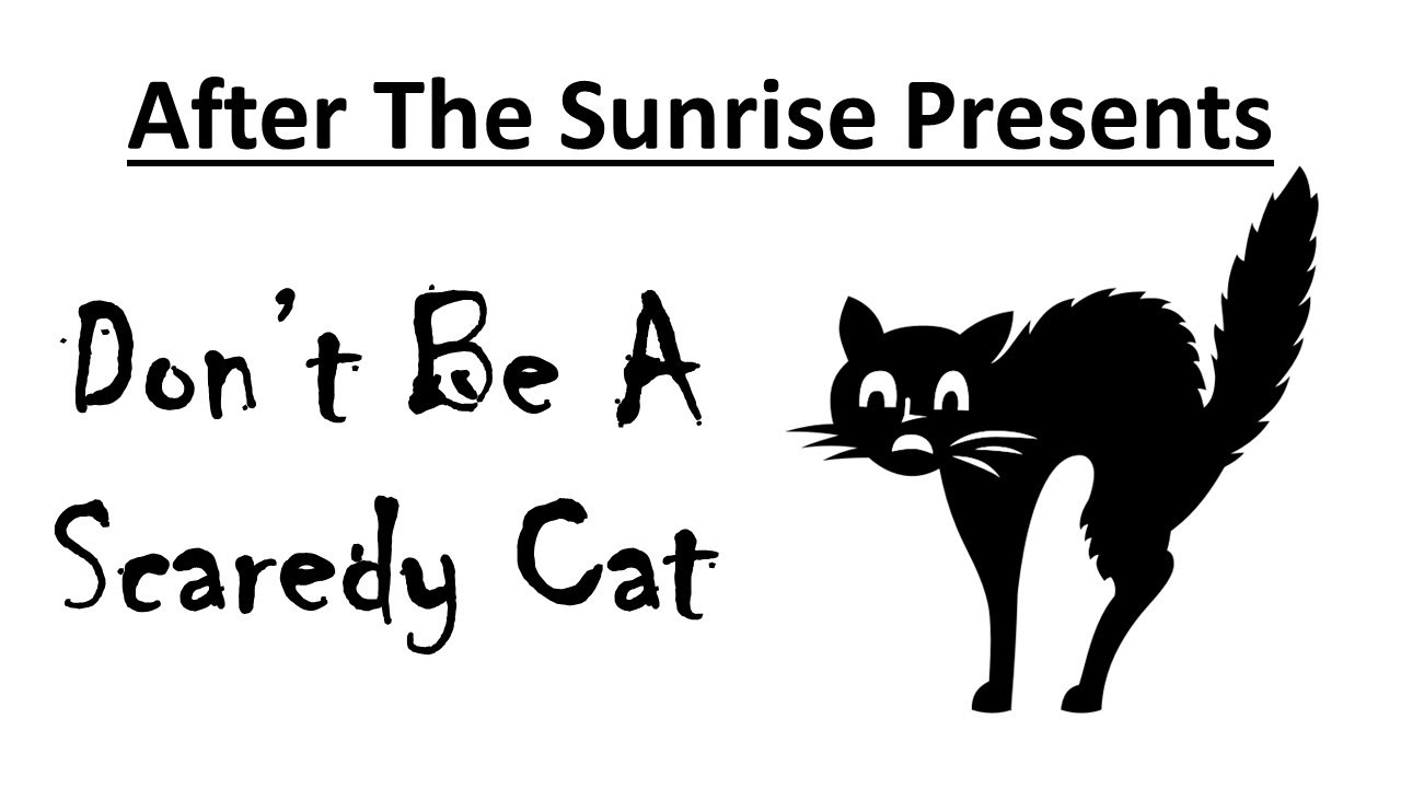 Don't Be a Scaredy-Cat - Apple Valley Vet Clinic