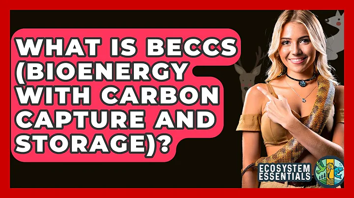 What Is BECCS (Bioenergy With Carbon Capture And Storage)? - Ecosystem Essentials