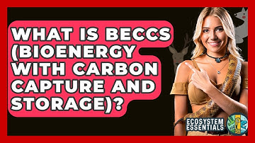 What Is BECCS (Bioenergy With Carbon Capture And Storage)? - Ecosystem Essentials