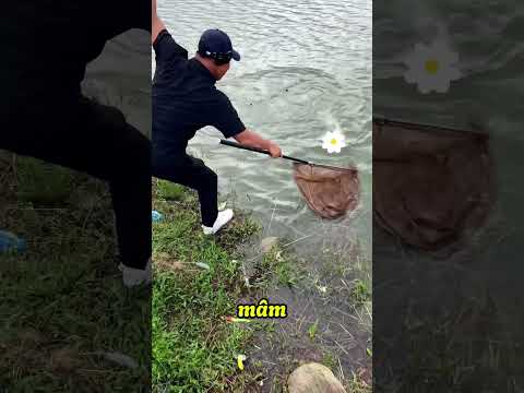 Câu cá tâm linh #shorts #chungnguyenfishing