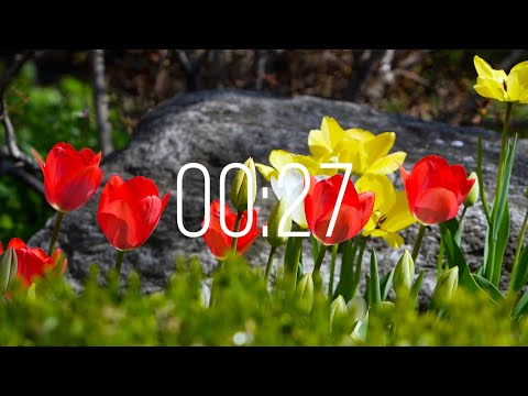 27 Second Timer with Music | Spring Timer🌹
