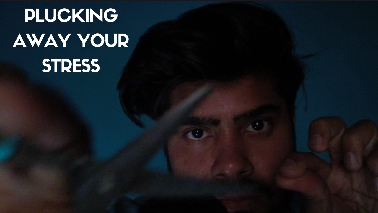 Minimal Talking Visual ASMR with Soft Echo for Deep Sleep