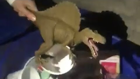 HOW TO RAIS A DINOSAUR‼️🦕🦖🍔