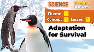 Grade 4 | Adaptation for Survival | Theme 1 - Concept 1 - Lesson 1 | Science